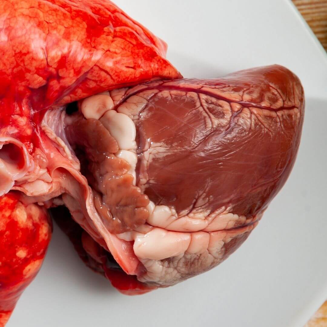 Individual Raw Lamb Heart for Dogs or Cats l Raw Dog Food