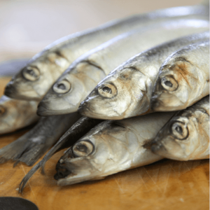 1kg Premium Frozen Sprats Natural Healthy Dog Treats for Training Rewarding